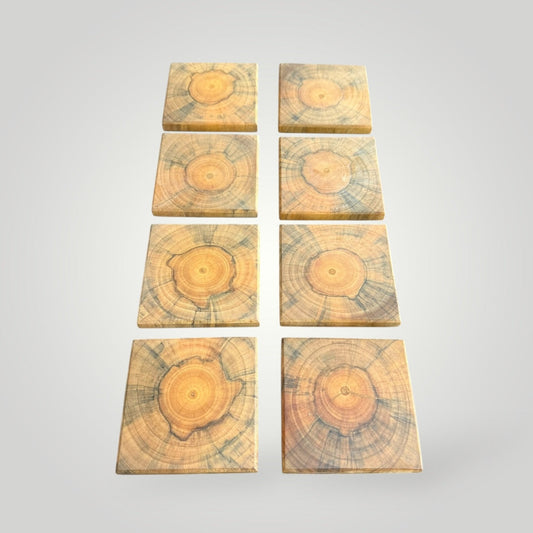 Set of 8 Coasters